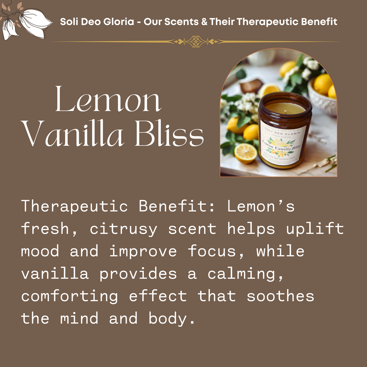 Lemon Vanilla Bliss Beeswax Candle | Extract & Organic Essential Oil Infused
