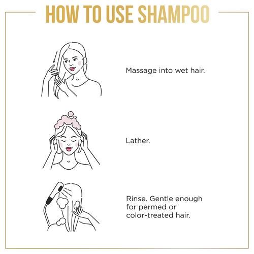 Pantene Pro-V Daily Moisture Renewal Shampoo, 12 Oz