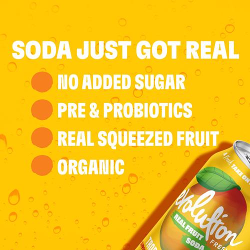 Evolution Fresh Organic Tropical Mango Fruit Soda, 12 Fz