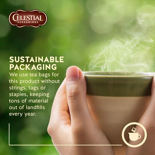 Celestial Seasonings Natural Herb Tea, Country Peach Passion, 20 Ct