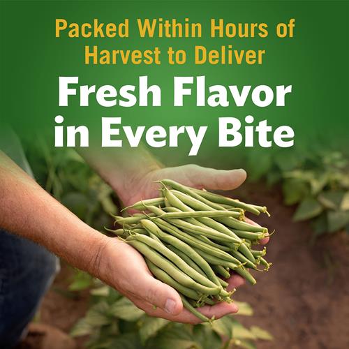 Del Monte Blue Lake French Style Green Beans, Canned Vegetables, 14.5 Oz Can