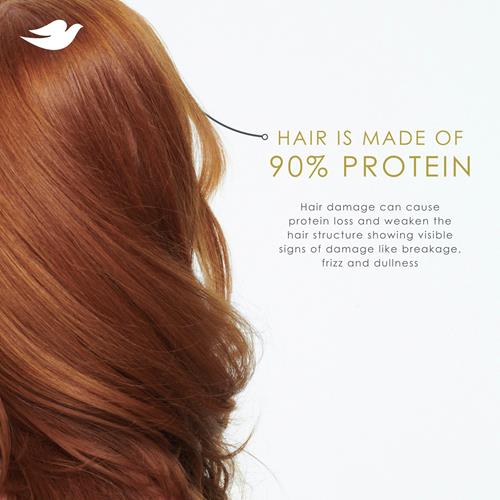 Dove Damage Therapy Shampoo Daily Moisture For Dry Hair With Bio-Protein Care Technology And Hyaluronic Serum 12 Fl Oz