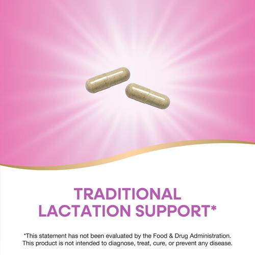 Natures Way Fenugreek Seed, Traditional Lactation/Breastfeeding Support*, Non-Gmo Project Verified, Vegan, 320 Capsules