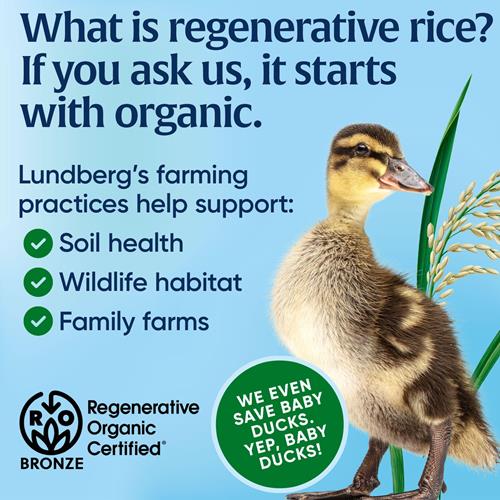 Lundberg Organic Thin Stackers, Brown Rice, Lightly Salted, Thin Rice Cakes, Gluten-Free, Vegan, Healthy Snacks, 6 Oz