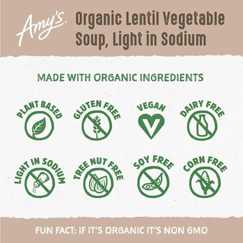 Amys Organic Lentil Vegetable Soup, Light In Sodium 14.5 Oz.