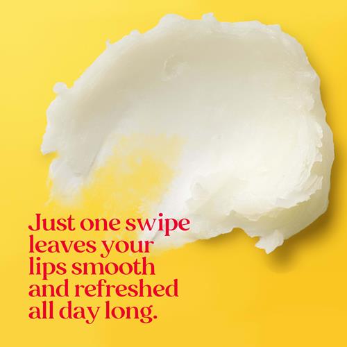 Burts Bees Lip Balm - Vanilla Bean, Lip Moisturizer With Responsibly Sourced Beeswax, Tint-Free, Natural Origin Conditioning Treatment, 2 Tubes, 0.15 Oz.