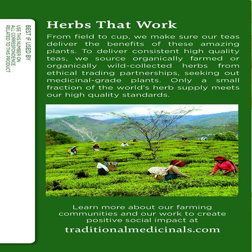 Traditional Medicinals Organic Ginger & Chamomile Herbal Tea, Relieves Occasional Indigestion Or Nausea, (Pack Of 1) - 16 Tea Bags