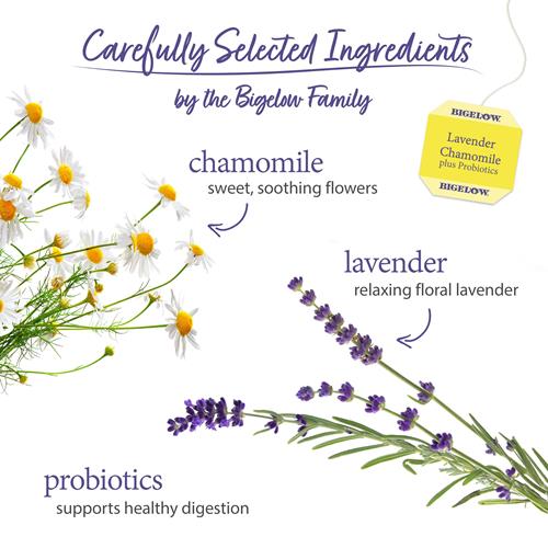 Bigelow Herbal Tea Bags Lavender Chamomile Plus Probiotic