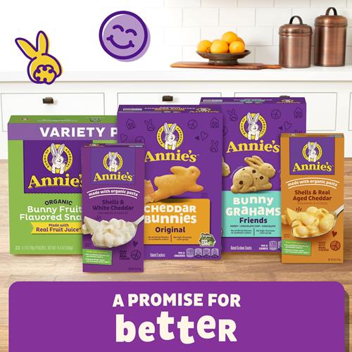 Annies Organic Graham Crackers, Cinnamon, Made With Whole Grain, 14.4 Oz
