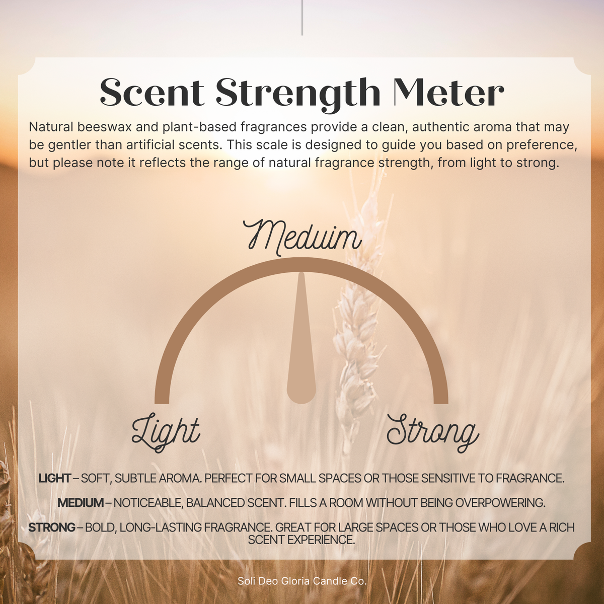 Sugar & Spice Beeswax Candle | Cozy Holiday Cookie Scent | Organic Essential Oil & Extract Infused