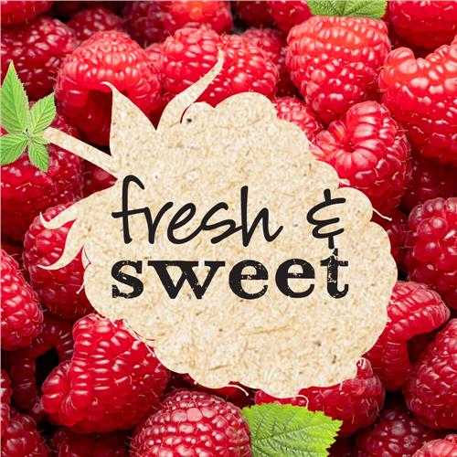 Kroger Sugar Free Raspberry Preserves 13 oz