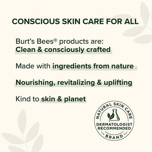 Burts Bees Beeswax Lip Balm, Lip Moisturizer With Responsibly Sourced Beeswax, Tint-Free, Natural Conditioning Lip Treatment, 1 Tube, 0.15 Oz.