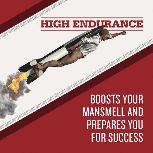 Old Spice High Endurance Long Lasting Stick Mens Deodorant, Fresh Scent - 3.0 Oz Ea