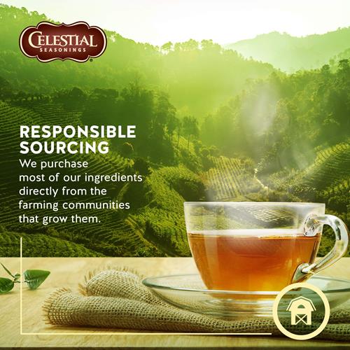 Celestial Seasonings 100% Natural Lemon Zinger Herbal Tea 20 Ct