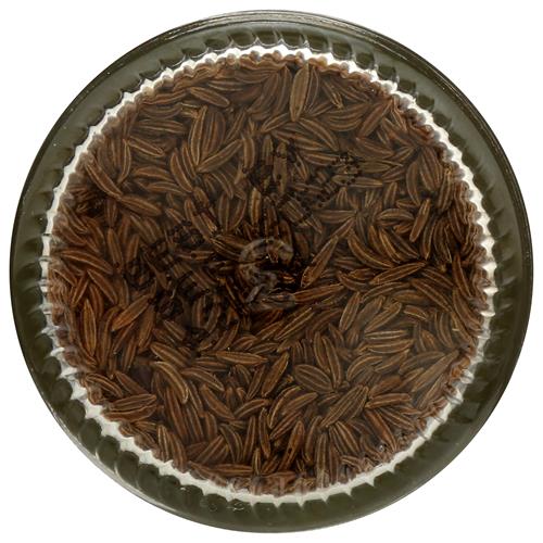 Whole Foods Market Organic Caraway Seed, 1.76 Ounce