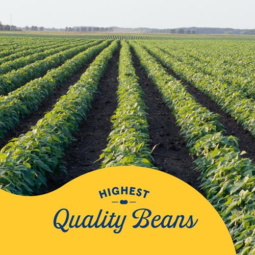 Bushs Best Large Butter Beans 16 Oz