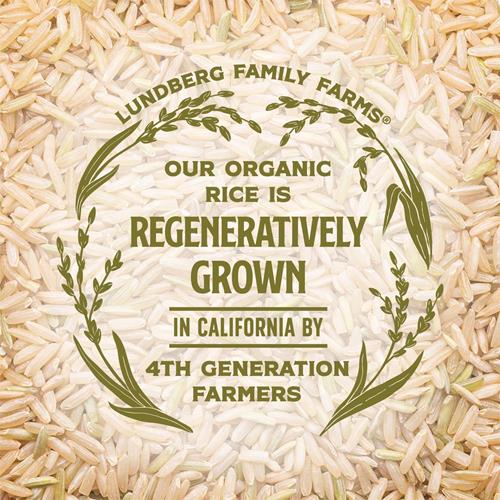 Lundberg Organic Jasmine Brown Rice – Long-Grain, Fluffy & Aromatic, Responsibly Grown In California, 32 Oz