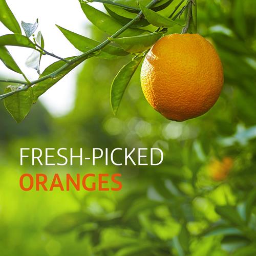 Tropicana Pure Premium 100% Orange Juice Homestyle, Some Pulp, 89 Fl Oz Bottle